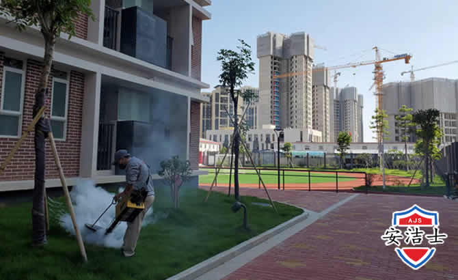 岱山工厂工地除白蚁