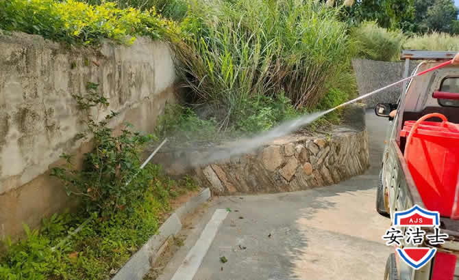 岱山道路堤坝白蚁防治