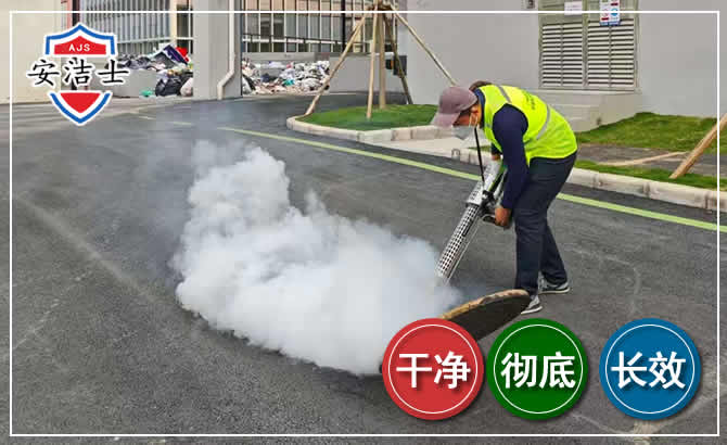 岱山消杀防疫现场