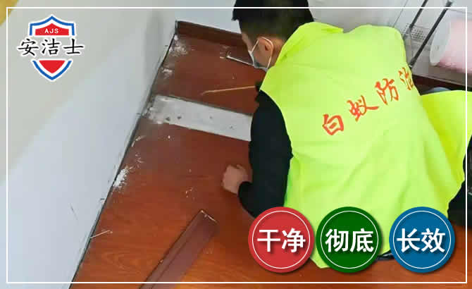 岱山除四害现场