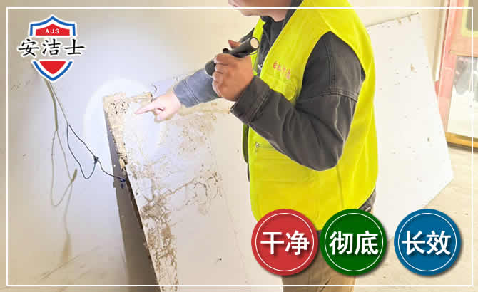 岱山除白蚁现场