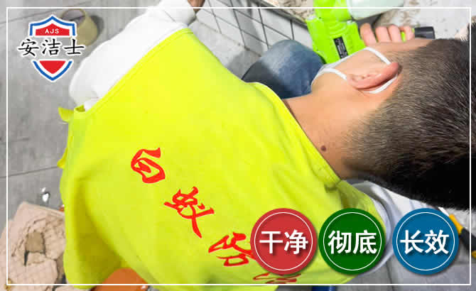 岱山白蚁根治现场